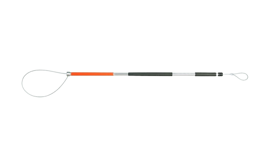 Catch-Poles-Control-Poles
